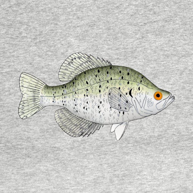 White Crappie by FishFolkArt